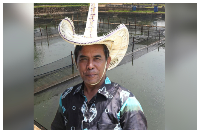Guru Besar IPB University, Prof Odang Carman.