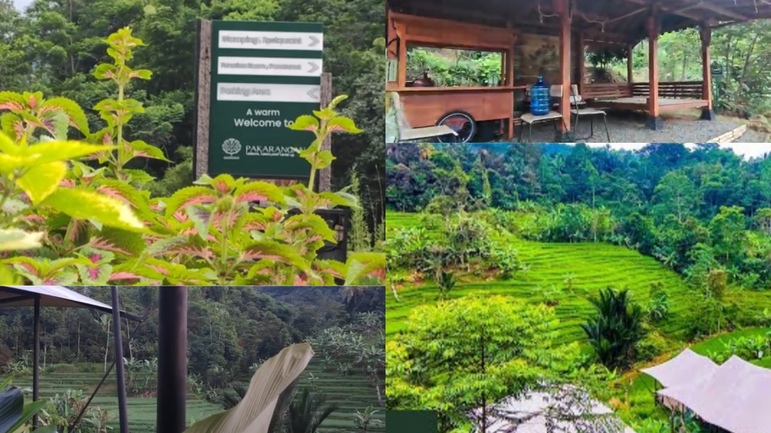 Pakarangan Glamping Resort berlokasi di Jalan Pabangbon, Kabupaten Bogor.