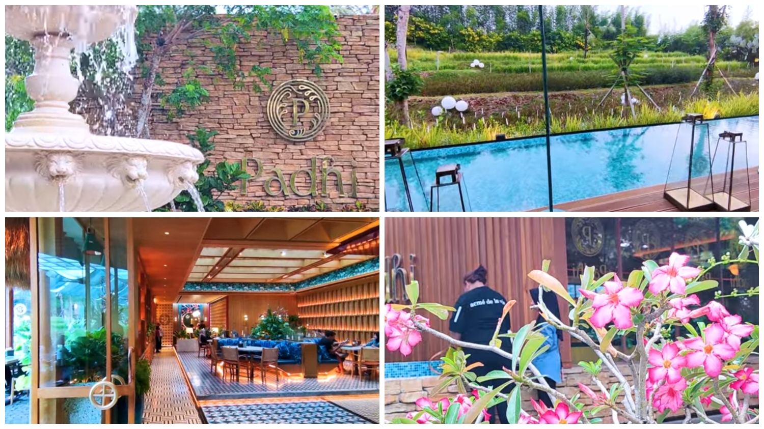 Padhi Resto yang berlokasi di Regional Ringroad, Jl. Kol. Ahmad Syam 3 (R3, RT.04/RW.01, Kelurahan Katulampa, Kecamatan Bogor Timur, Kota Bogor, Jawa Barat 16143.