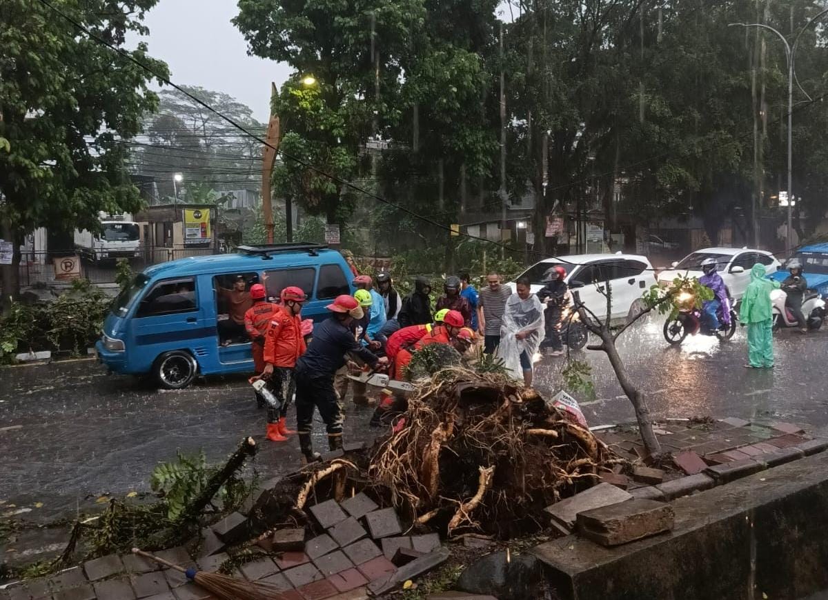 Pohon di Jalan Abdullah bin Nuh, Kecamatan Bogor Barat, Kota Bogor, tumbang akibat hujan deras dan angin kencang pada Jumat (4/10/2024) sore.