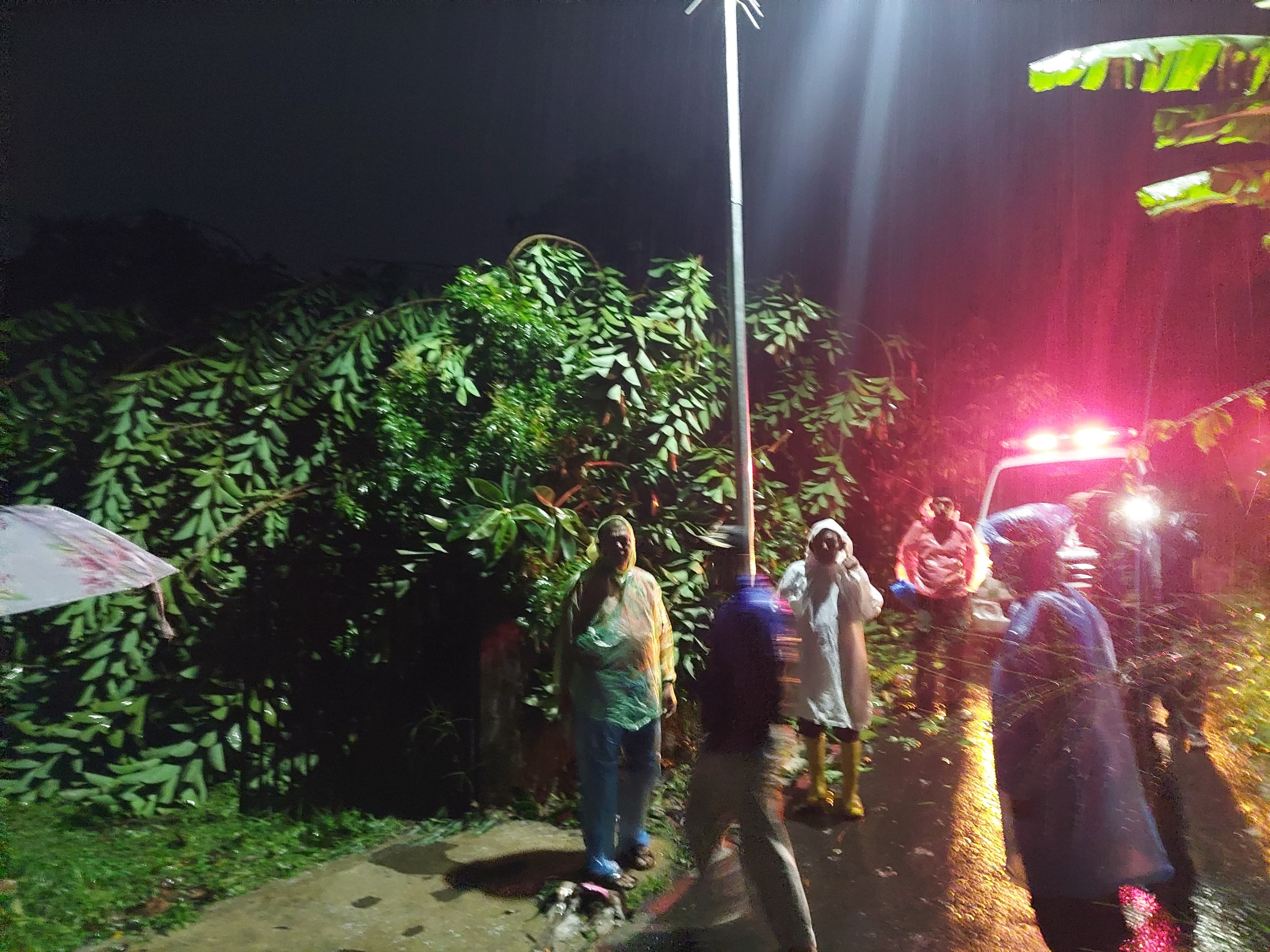 Tertimpa Pohon Tumbang, Rumah Warga Bogor di Tamansari Rusak Parah