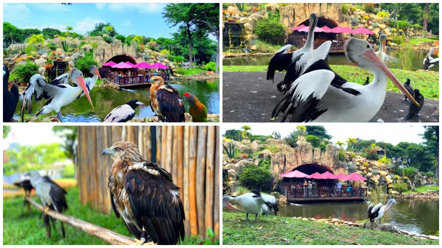 Taman Burung TMII yang berada di Kelurahan Ceger, Kecamatan Cipayung, Jakarta Timur, Jakarta 13820.