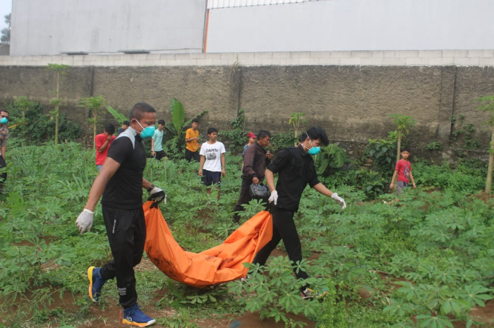 Petugas saat mengevakuasi mayat wanita tanpa busana di sebuah kebun singkong di Rancabungur, Bogor.