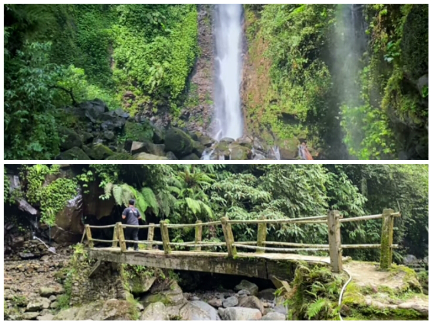 Penampakan Curug Ciparay Bogor, Hidden Gems Kental Nuansa Alam Asli