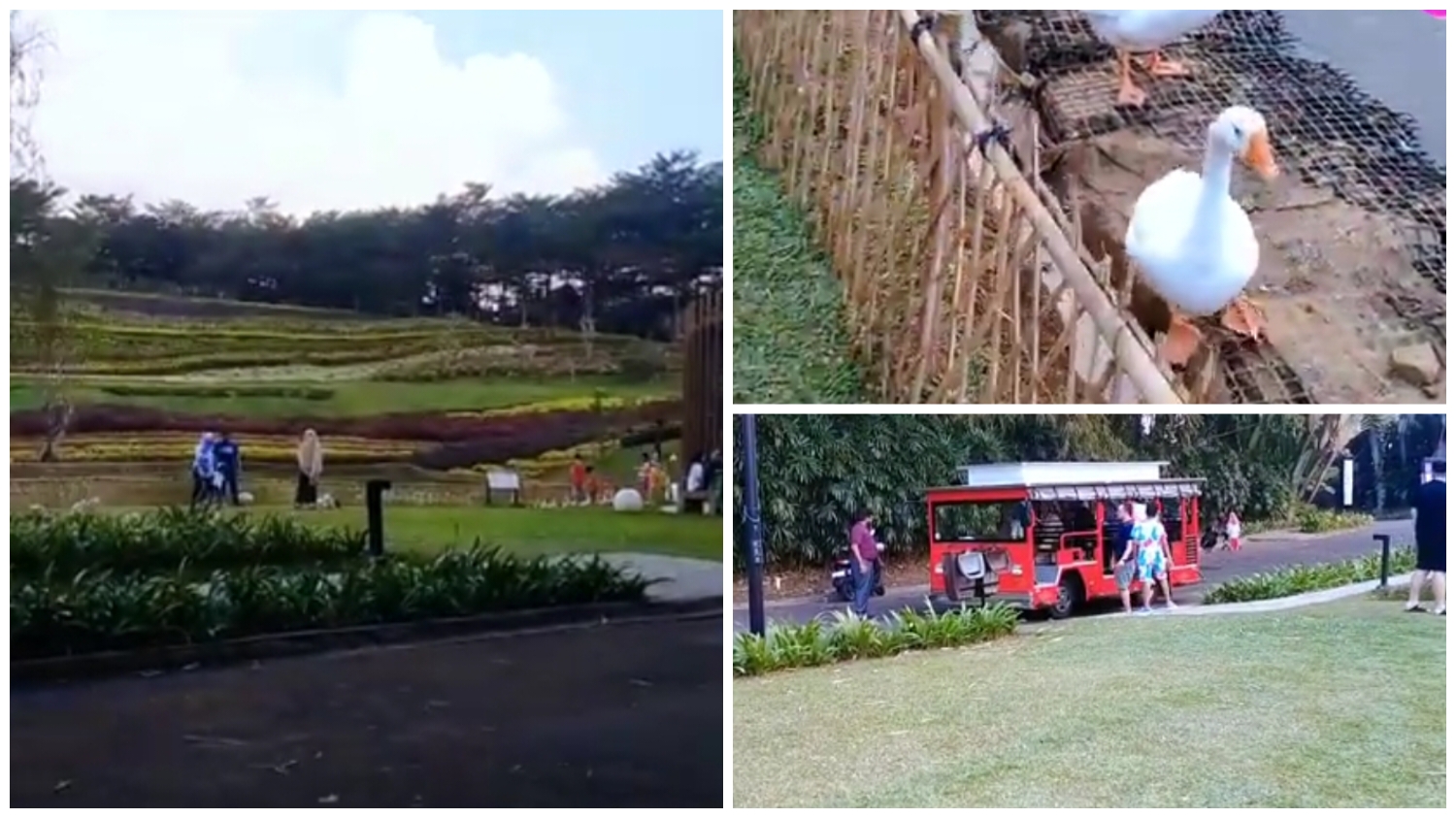 Flower Garden Vimala Hills yang berlokasi di Jl. Vimala Hills, Desa Sukamahi, Kecamatan Megamendung, Kabupaten Bogor, Jawa Barat 16770.