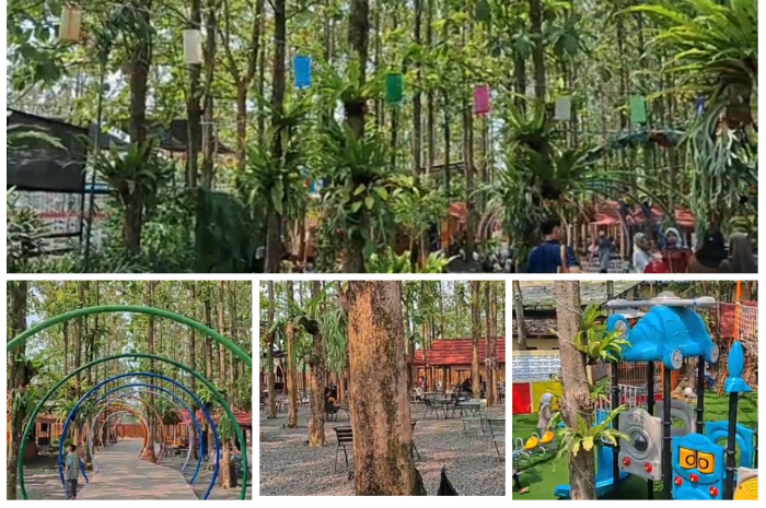 Wisata Jati Ombo jadi rekomendasi wisata di Parung Panjang, Kabupaten Bogor