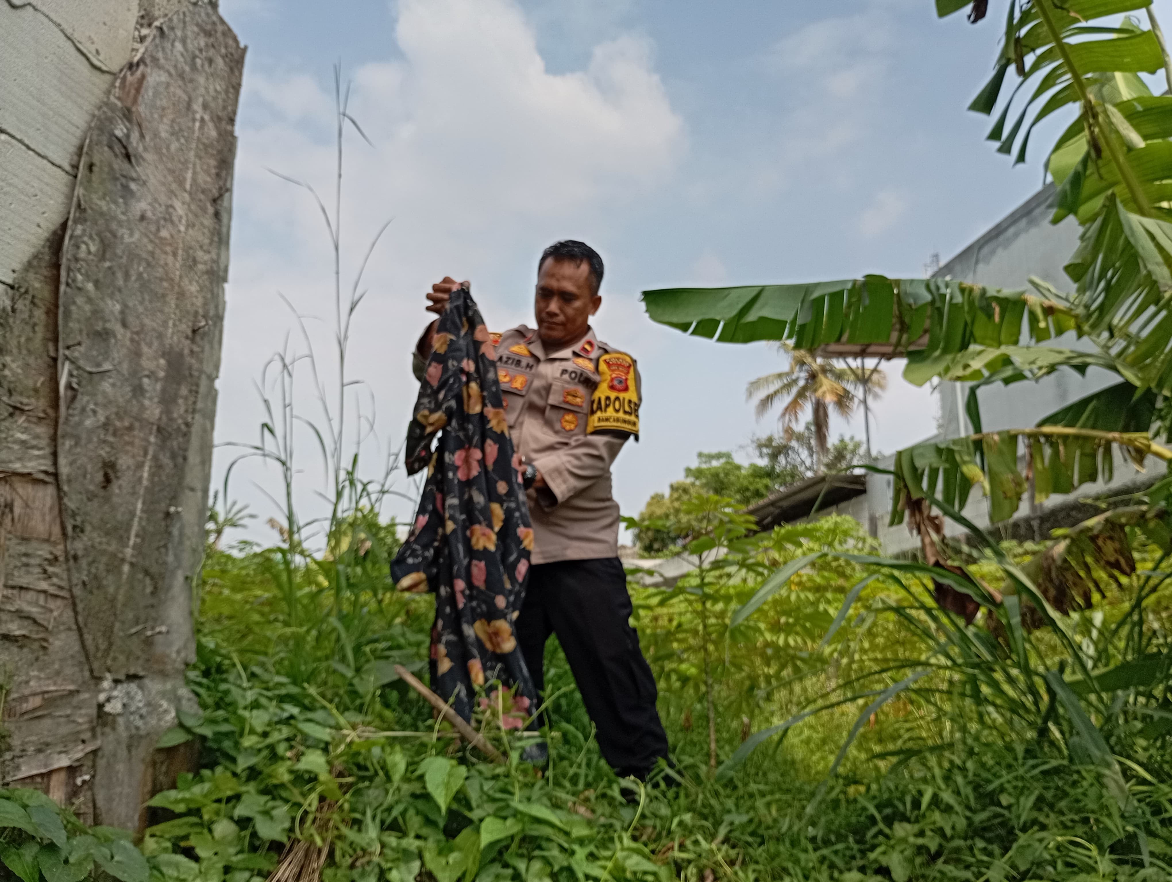 Petugas Polsek Rancabungur, Polres Bogor, mengumpulkan barang bukti kasus penemuan mayat wanita di kebun singkong.