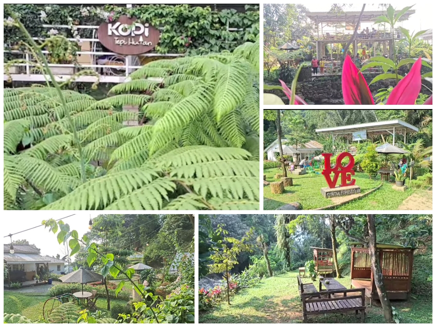 Kopi Tepi Hutan yang berada di Jalan Sentul Paradise Park, Sentul, Kecamatan Babakan Medang, Kabupaten Bogor, Jawa Barat.