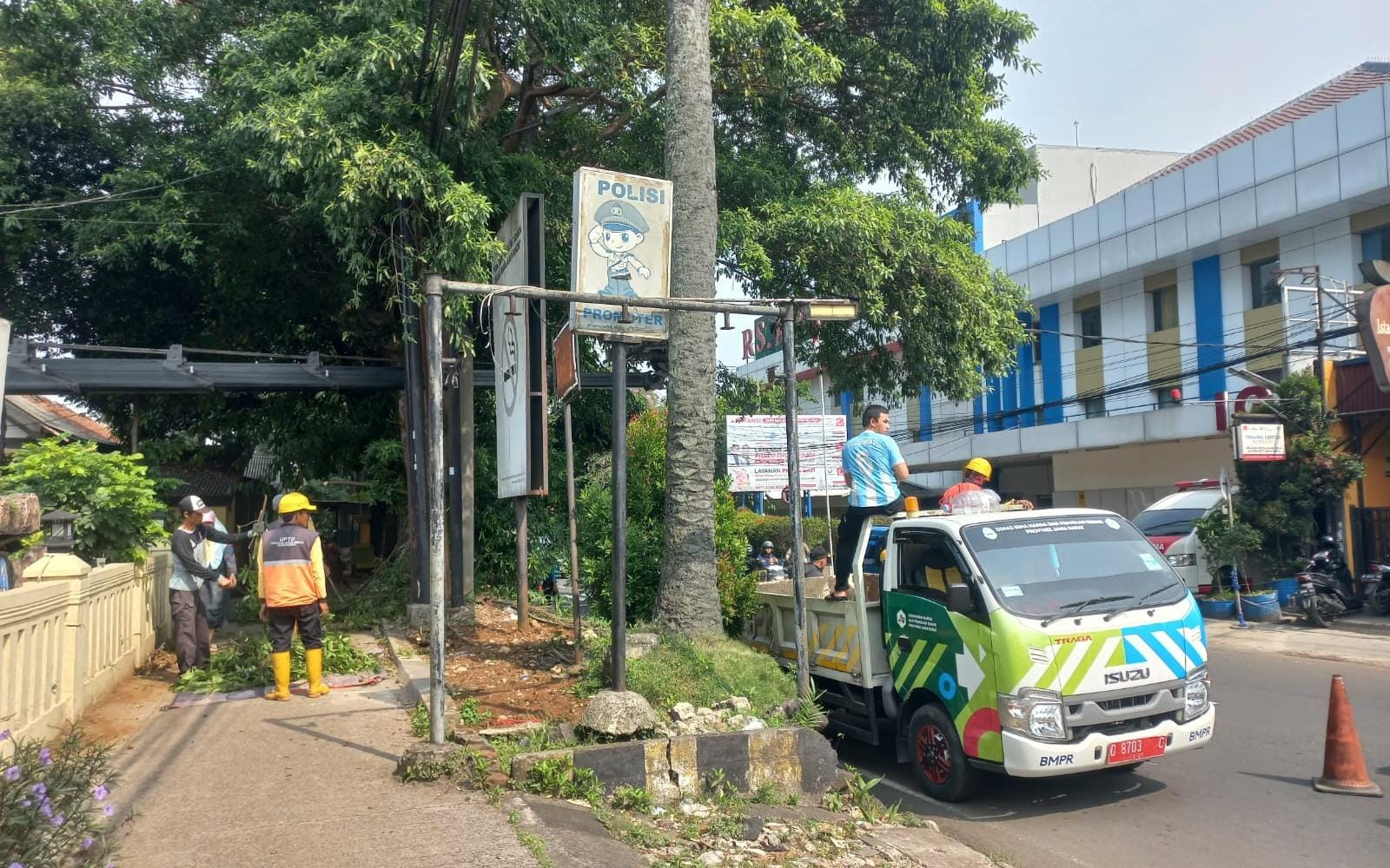 Disperumkim Kota Bogoro saat menebang Pohon Sawit di Jalan Pahlawan Kota Bogor