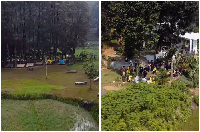 Suasana Hutan Hujan Sentul Bogor