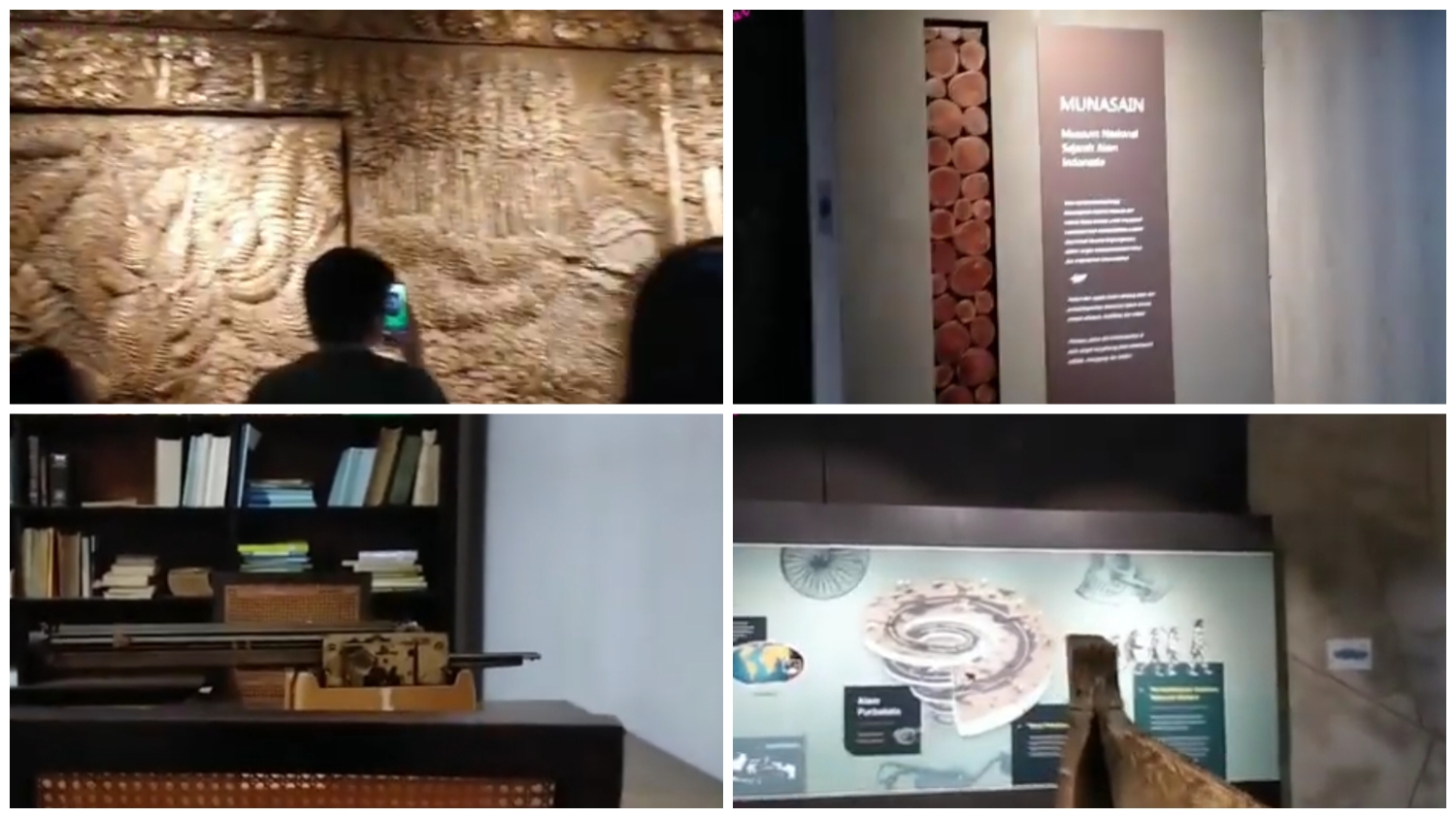 Museum Nasional Sejarah Alam Indonesia atau lebih dikenal dengan Munasain terletak di Kebun Raya Bogor, Jalan Ir. H. Juanda No. 13, Kecamatan Bogor Tengah, Kota Bogor, Jawa Barat 16122.