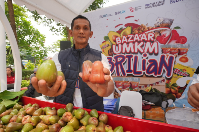 Petani di Desa Menawan, Kecamatan Gebok, Kabupaten Kudus, Jawa Tengah yang berhasil mengembangkan jambu citra.
