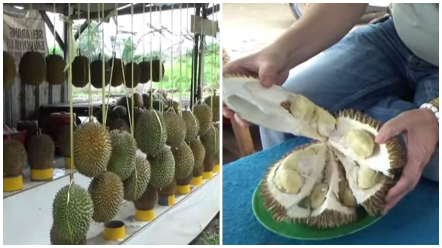 Kuliner durian gantung di Jalan Raya Parung, Bogor.