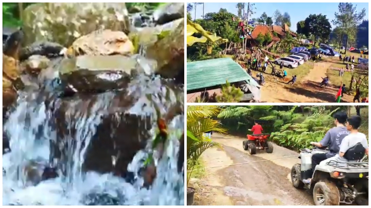Pinus Ecopark jadi rekomendasi tempat camping nyaman di Bogor.