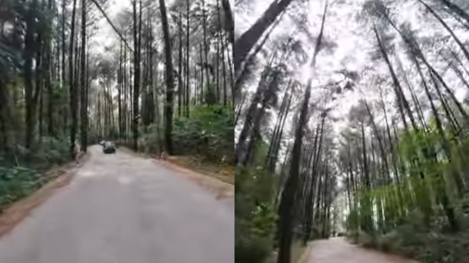 Wisata Gunung Pancar.