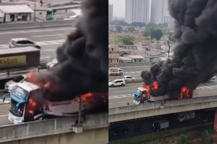 Bus yang membawa 58 anak TK asal Bogor terbakar di jalan Tol, Kamis 24 Oktober 2024.