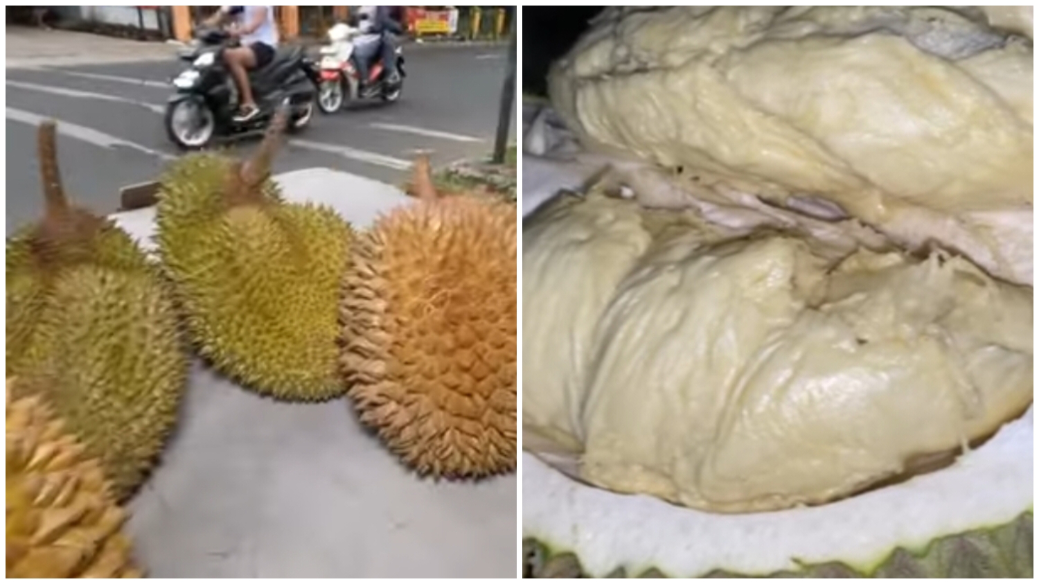 Durian Cengal salah satu durian paling terkenal di Bogor.