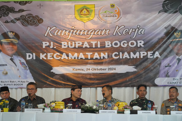 Pj Bupati Bogor Bachril Bakri saat kunker ke wilayah Kecamatan Ciampea pada Kamis (24/10/2024).