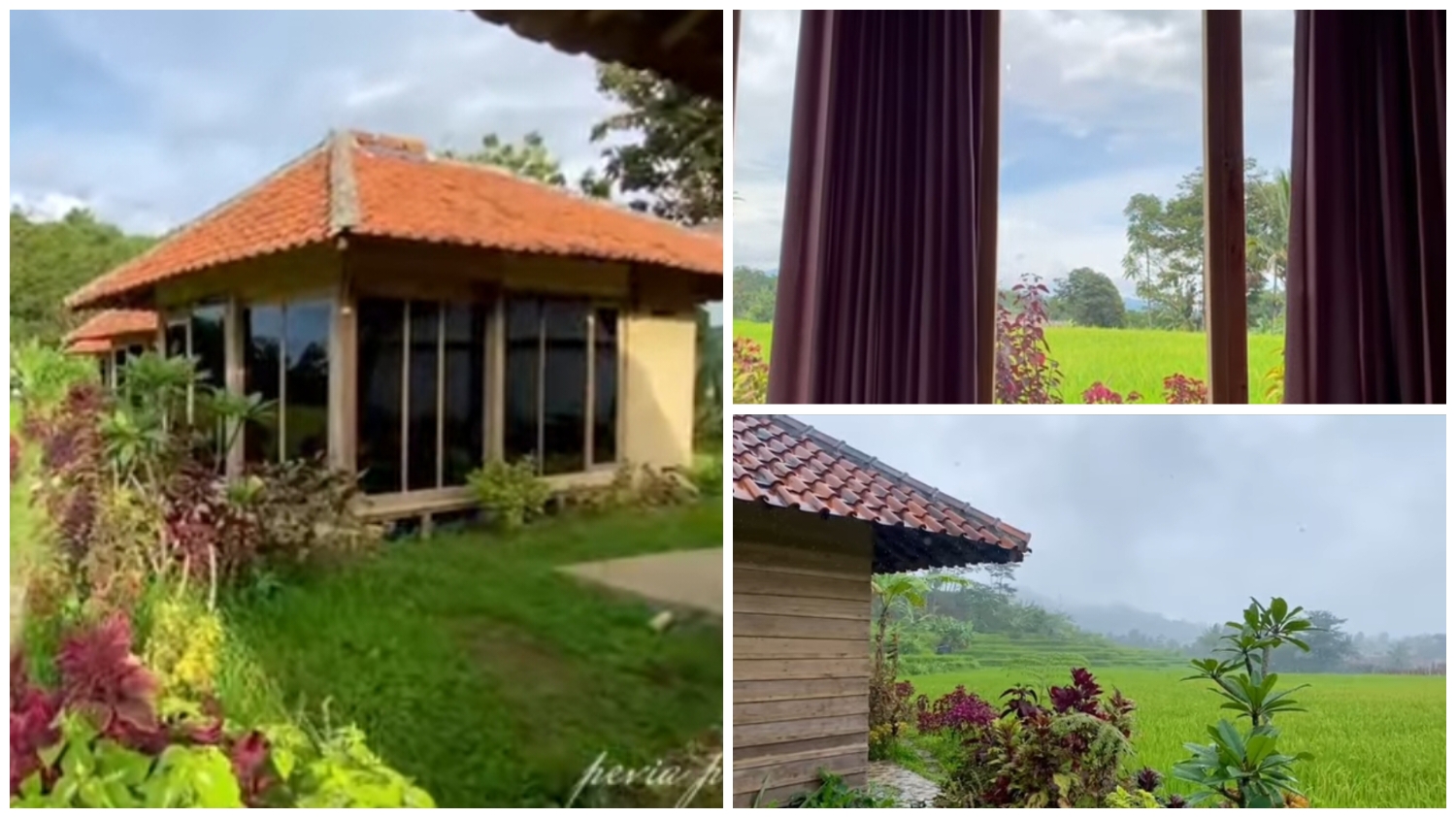 Penginapan Le Pandai di Kampung Pandai Desa Purwabakti Pamijahan, Bogor.