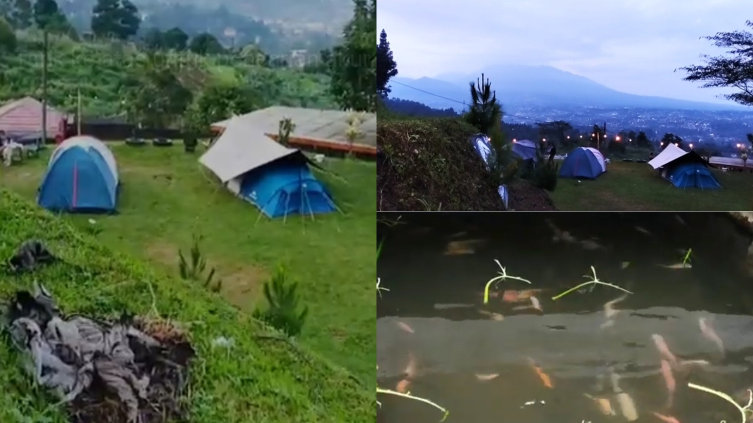 Hadecamp, rekomendasi tempat camping nyaman di Bogor.