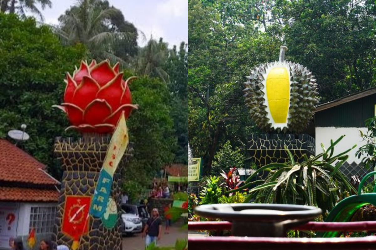 Wisata Warso Farm.