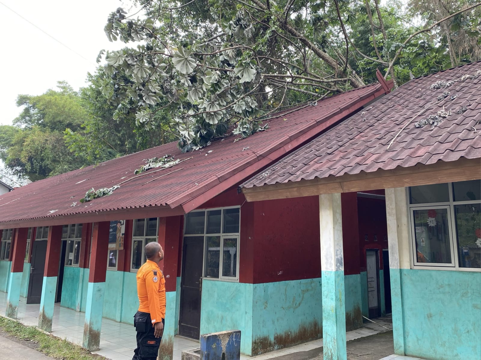 Terdampak longsor dan pohon tumbang, bangunan SDN 02 Tangkil Bogor rusak