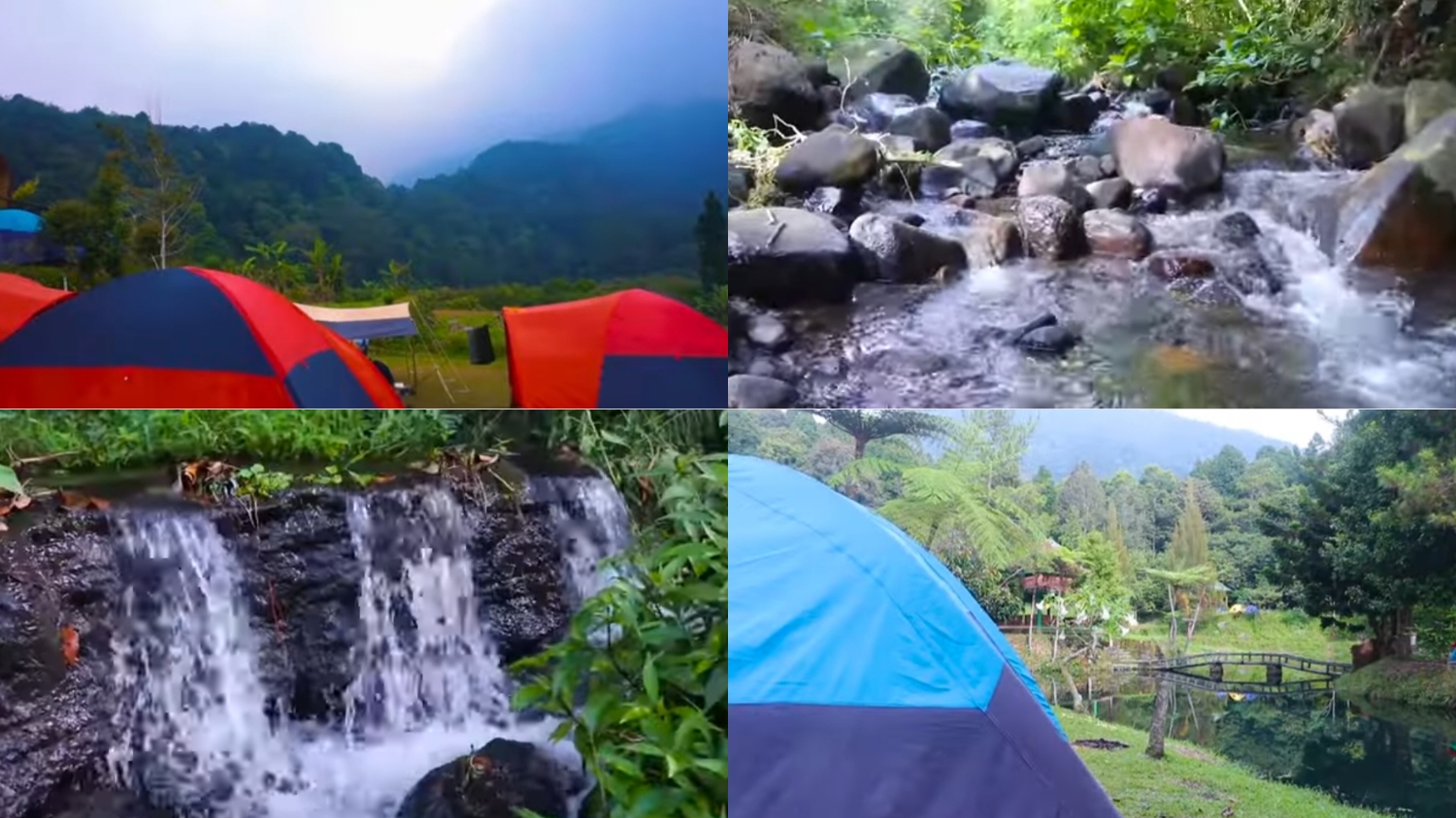 Mandalawangi Camping Ground tempat camping dengan suasana yang nyaman dan asri.