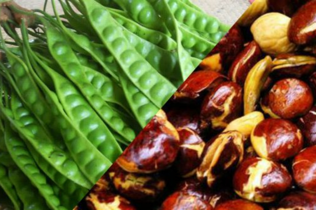 Manfaat Petai dan Jengkol bagi kesehatan.