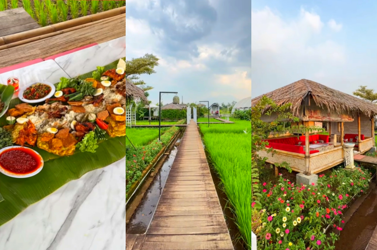DSawah Resto, tempat kulineran di tengah sawah yang cantik.