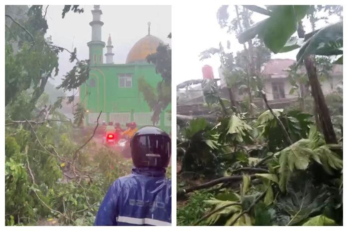 Bencana alam seperti pohon tumbang melanda beberapa kecamatan di Kabupaten Bogor, Sabtu (9/11/2024).