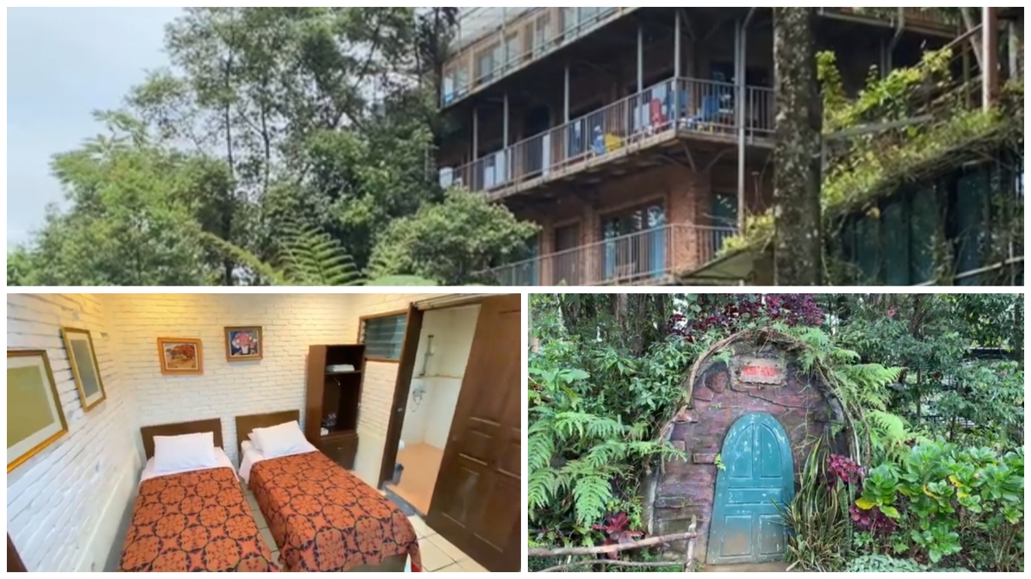 The Pinwood Lodge and Organic Farms hotel murah di Puncak Bogor.