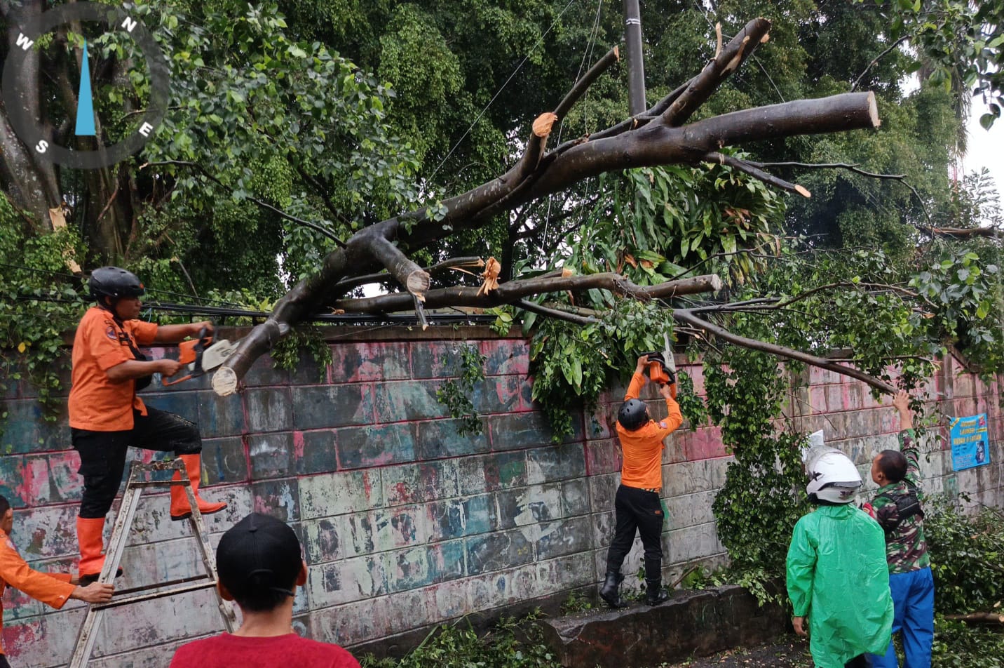 Petugas BPBD Kabupaten Bogor, mengevakuasi pohon tumbang di Kecamatan Tamansari, akibat hujan deras disertai angin kencang pada Minggu (10/11/2024).