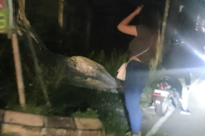 Sosok wanita penunggu Jalan Raya Kemang-Parung Bogor.