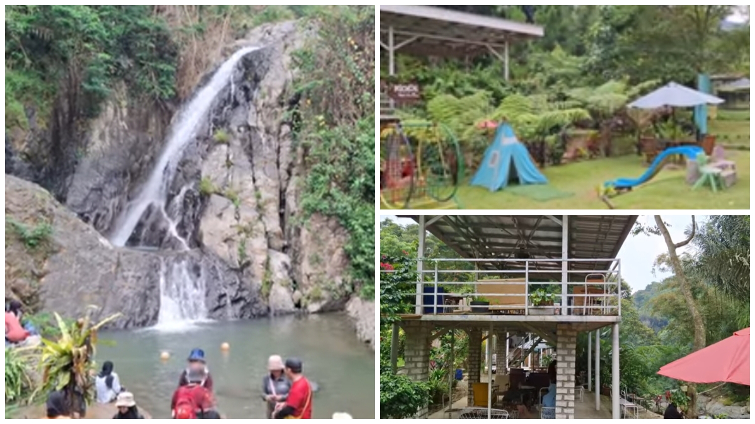 Surga tersembunyi&nbsp;Kopi Tepi Hutan di Sentul.
