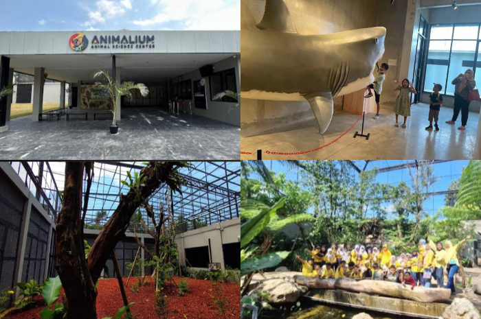 Destinasi wisata Animalium BRIN di Cibinong, Kabupaten Bogor.