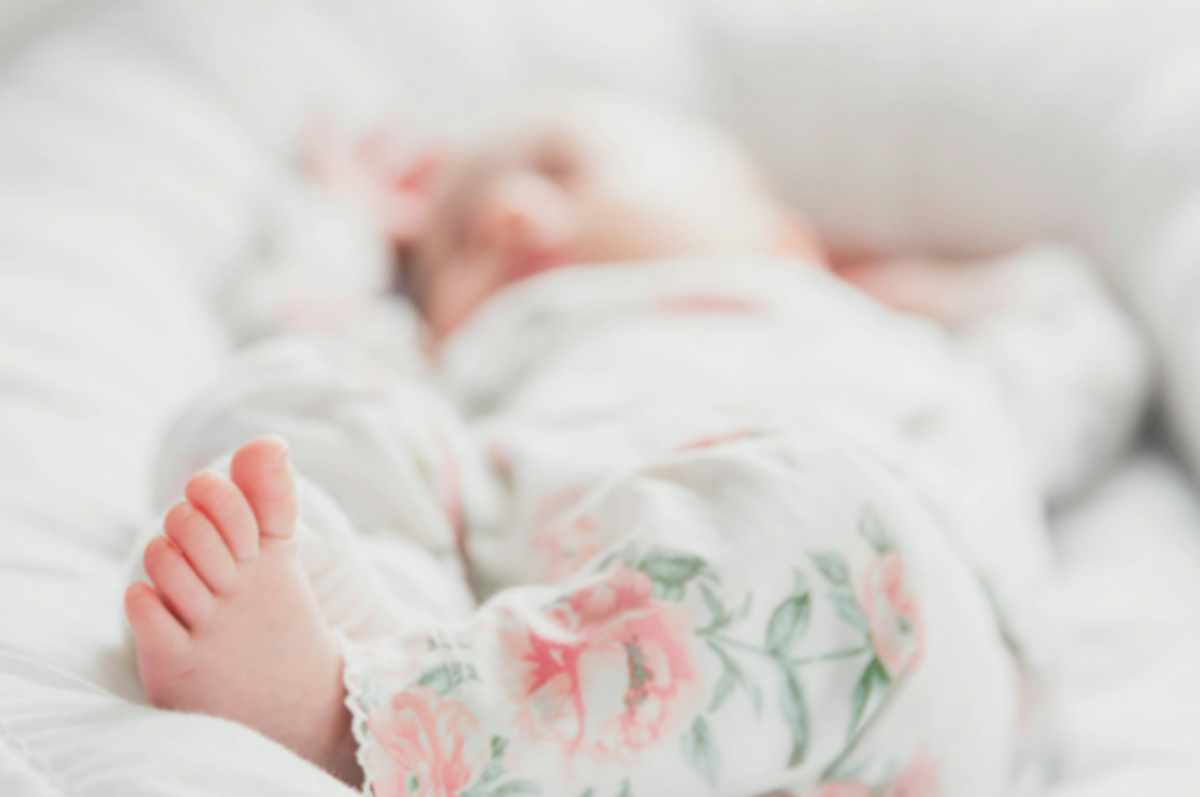 Data BPS menyebutkan bahwa ada lonjakan angka persentase fenomena childfree di Indonesia, dan ada beberapa faktor yang mendasari alasan mengapa perempuan Indonesia lebih memilih untuk childfree.