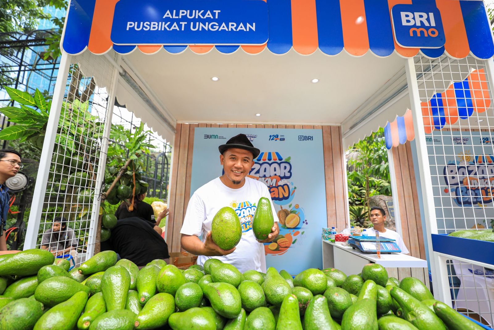 Klaster Usaha Binaan BRI, Pusbikat Ungaran, yang berfokus pada budidaya buah alpukat.