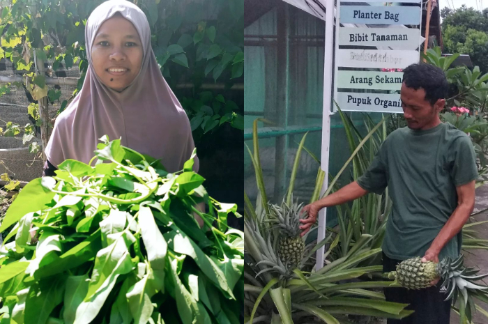 Sri Widodo dan Nurul Fitri Hidayati&nbsp;sukses&nbsp;mengembangkan&nbsp;Yoso Farm.