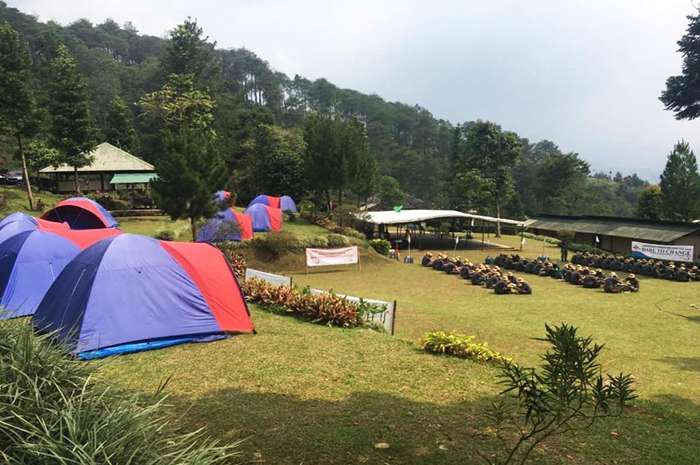 Camp area D&rsquo;jungle Private Camp.