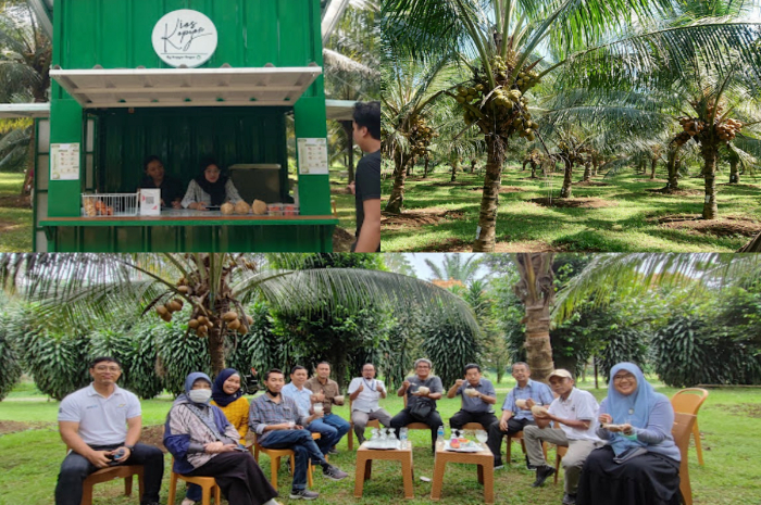 Suasana di kebun Kelapa Kopyor Pasir Kuda Bogor.
