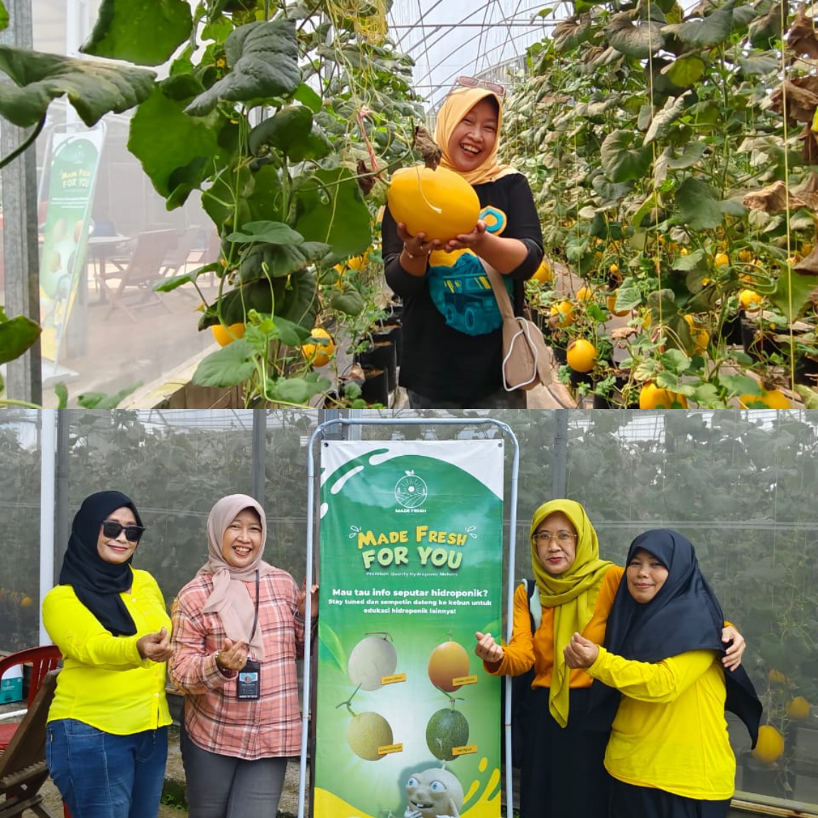 Kebun Melon Made Fresh di Bogor, Tawarkan Pengalaman Wisata dan Edukasi Pertanian