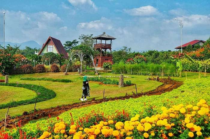 Flowers Garden Camp Hulu Cai.