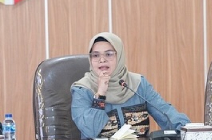 Anggota Bawaslu, Lolly Suhenty.