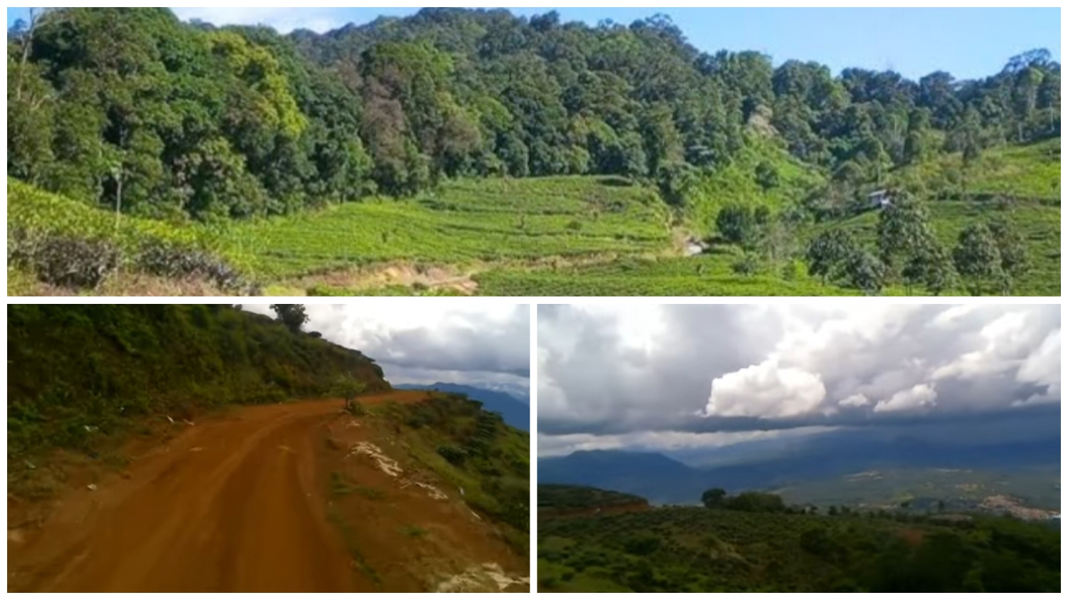 Liburan akhir tahun yang seru di Kebun Teh Nirmala.