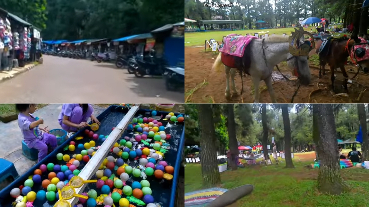 Wisata lokal Bogor, Taman Pinus Bilabong.