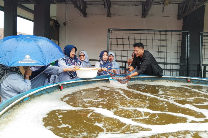 Proses panen ikan nila yang merupakan unit usaha SMAN 10 Kota Bogor.