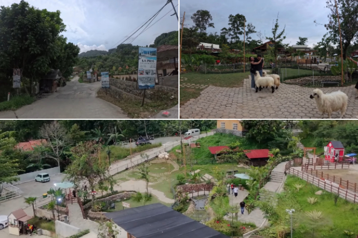 Potret suasana di Bukit Domba.