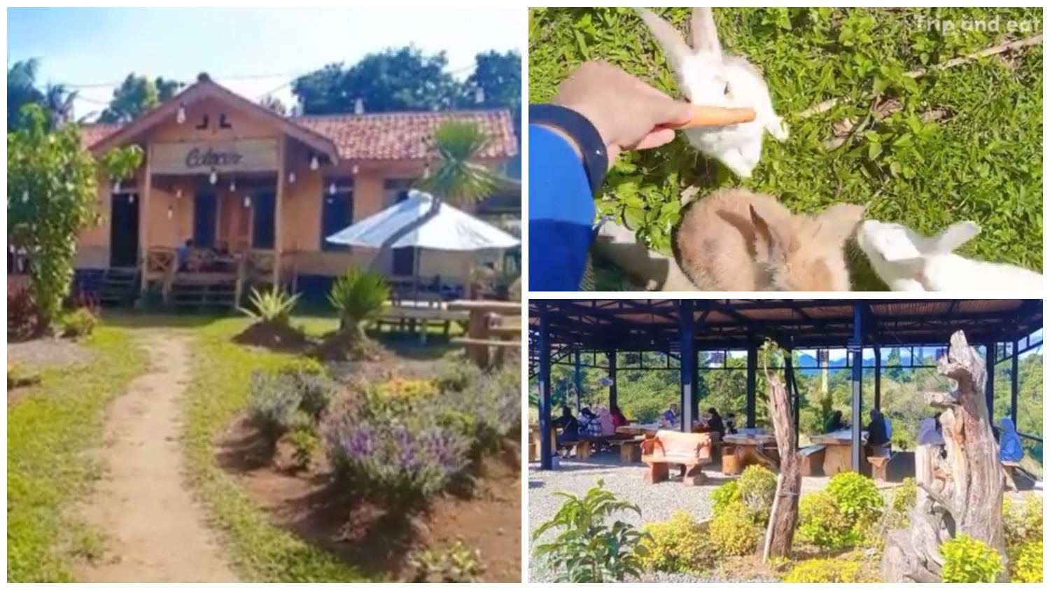 Colecer Garden Cafe, rekomendasi kafe ramah anak di Bogor.