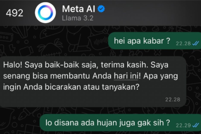 Salah satu curhat di Meta AI WhatsApp.