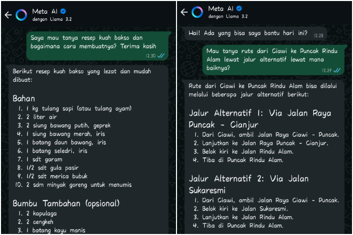Percakapan dengan Meta AI WhatsApp.